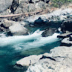 Meet your Posher, Jayme